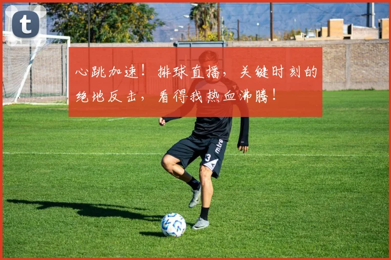 心跳加速！排球直播，关键时刻的绝地反击，看得我热血沸腾！