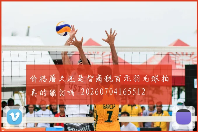 价格屠夫还是智商税百元羽毛球拍真的能打吗_20260704165512